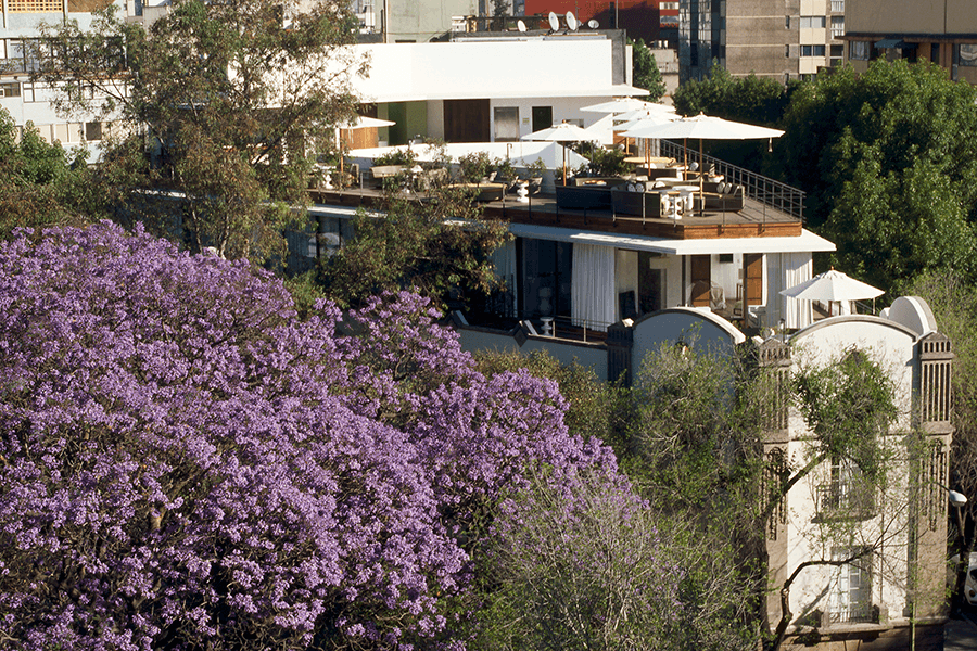 india mahdavi_condesa_mexico_2005_6